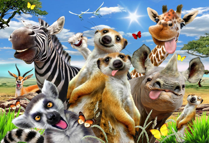 Puzzle układanki Zwierzęta z Madagaskaru z drewna rozmiar M